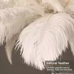 Caden Modern Nordic Ostrich Feather Chandelier