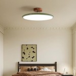 Alexia Colorful Round Adjustable Led Ceiling Lamp