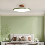 Alexia Colorful Round Adjustable Led Ceiling Lamp