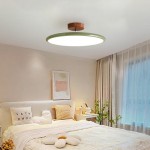 Alexia Colorful Round Adjustable Led Ceiling Lamp