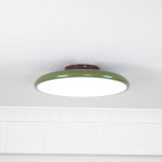 Alexia Colorful Round Adjustable Led Ceiling Lamp