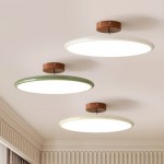 Alexia Colorful Round Adjustable Led Ceiling Lamp