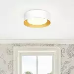 Zenith Nordic ‎Minimalist Metal Round Semi Flush Mount Ceiling Light