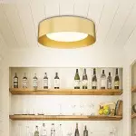 Zenith Nordic ‎Minimalist Metal Round Semi Flush Mount Ceiling Light