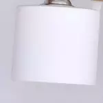 Bird Wooden Chandelier