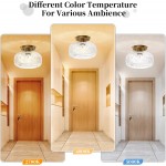 Adara Retro American Exquisite Glass Semi Flush Mount Ceiling Light Adara Retro American Exquisite Glass Semi Flush Mount Ceiling Light
