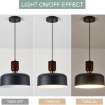 Ambrose Solid Wood And Brass Accent Round Metal Pendant Light