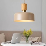 Ambrose Solid Wood And Brass Accent Round Metal Pendant Light