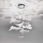 CHLOROPHILIA SUSPENSION