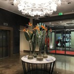 CHLOROPHILIA SUSPENSION