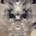 CHLOROPHILIA SUSPENSION