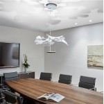 CHLOROPHILIA SUSPENSION