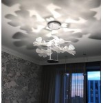 CHLOROPHILIA SUSPENSION