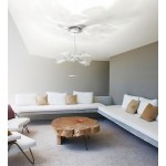 CHLOROPHILIA SUSPENSION