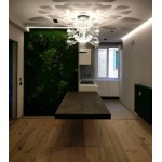 CHLOROPHILIA SUSPENSION