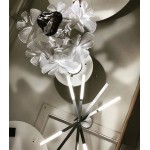 CHLOROPHILIA SUSPENSION