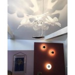 CHLOROPHILIA SUSPENSION