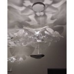 CHLOROPHILIA SUSPENSION