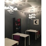 CHLOROPHILIA SUSPENSION