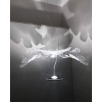 CHLOROPHILIA SUSPENSION