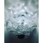 CHLOROPHILIA SUSPENSION