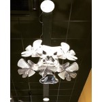 CHLOROPHILIA SUSPENSION