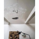 CHLOROPHILIA SUSPENSION