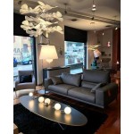 CHLOROPHILIA SUSPENSION