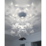 CHLOROPHILIA SUSPENSION