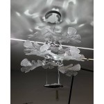 CHLOROPHILIA SUSPENSION