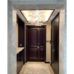 CHLOROPHILIA SUSPENSION