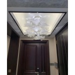 CHLOROPHILIA SUSPENSION