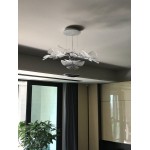 CHLOROPHILIA SUSPENSION