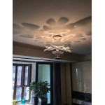 CHLOROPHILIA SUSPENSION