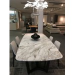 CHLOROPHILIA SUSPENSION