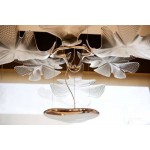 CHLOROPHILIA SUSPENSION