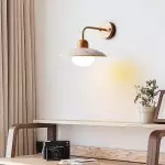 Habakkuk Farmhouse Disc Travertine Wall Sconce