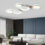 Phelith Modern Scandinavian Circle Ceiling Light Phelith Modern Scandinavian Circle Ceiling Light