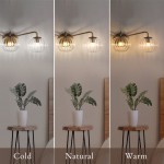 Cedric Modern Brass Spherical Glass Wall Light Cedric Modern Brass Spherical Glass Wall Light