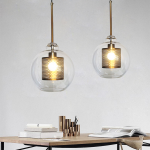 Linc Contemporary Globe Clear Glass Metal Pendant Light