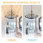 Clara Modern Matte Black Metal Spiral Chandelier