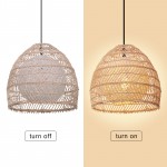 Clioan Bohemian Woven Rattan Pendant Light Clioan Bohemian Woven Rattan Pendant Light