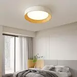 Calixte Minimalist LED Round Metal Ceiling Light
