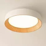 Calixte Minimalist LED Round Metal Ceiling Light