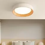 Calixte Minimalist LED Round Metal Ceiling Light