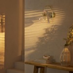 Oryn Globe Glass Brass Wall Light