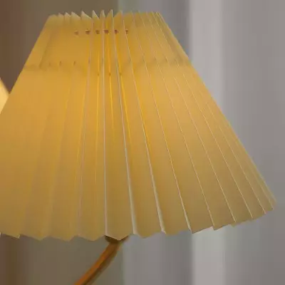 Axel Rustic Pleated Shade Wood Chandelier