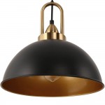 Gleamix Industrial Black Metal Dome Pendant Light