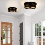 Lumix Farmhouse Metal Cage Shade Ceiling Light