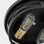 Lumix Farmhouse Metal Cage Shade Ceiling Light